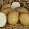 семенной картофель ЛИДЕР  от СеДеК в Домодедово