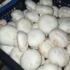 продаю грибы шампиньоны в Павловском Посаде 2