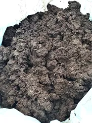 покровная почва для шампиньонов в Рославле 3