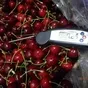 независимая экспертиза качества фруктов в Домодедово 3