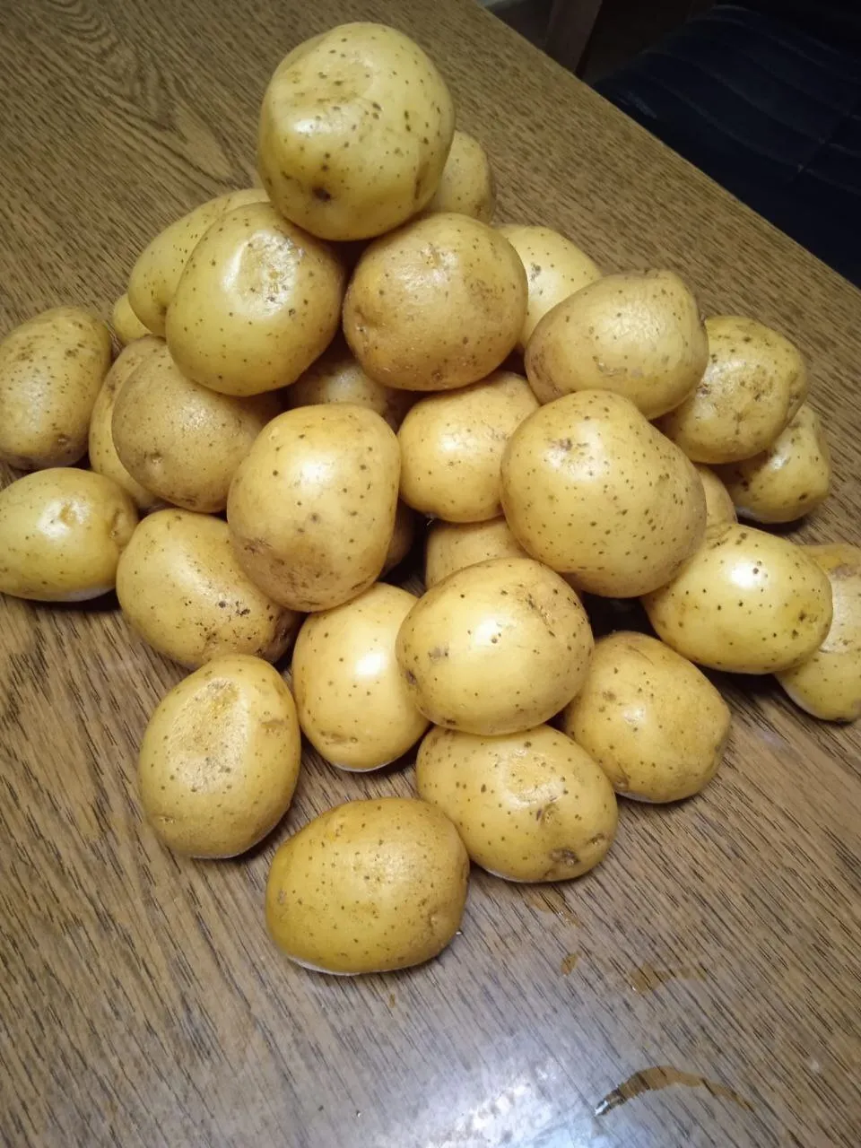 картофель сорта Гала  в Коломне 4