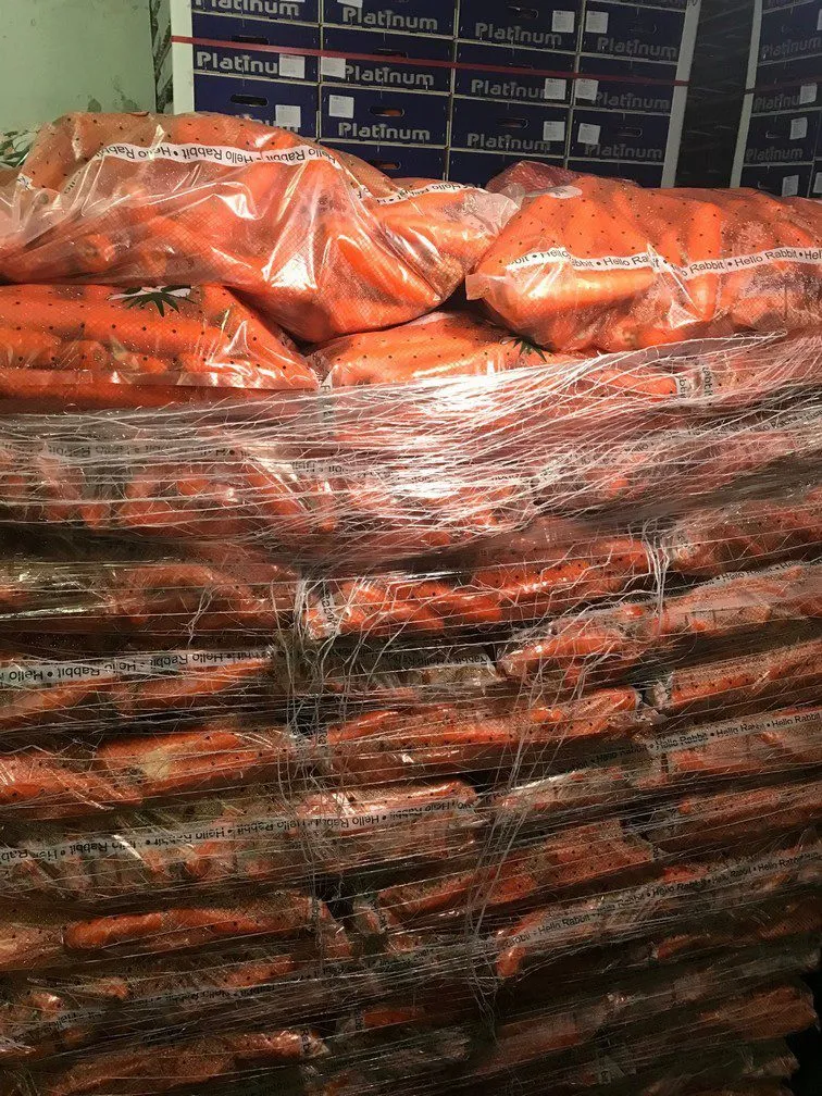 морковь (мытая / грязная) ОПТ в Долгопрудном 3