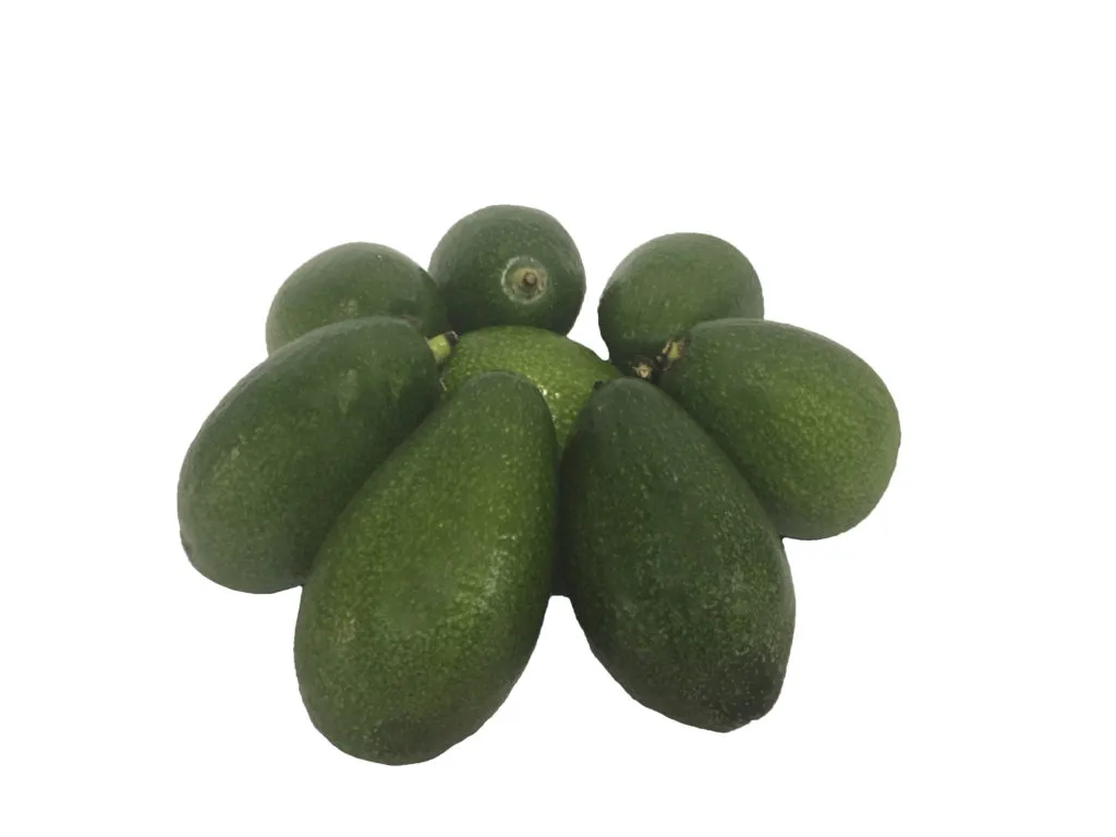 авокадо Рид / Фуэрте (гладкий) в Долгопрудном 3